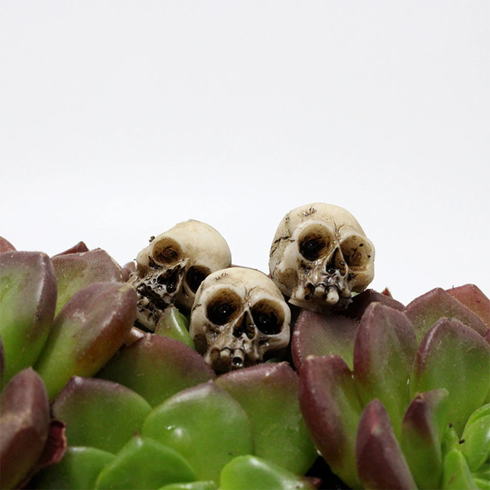 20Pcs Mini Skull Heads