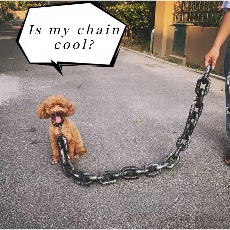 Simulation Iron Chain