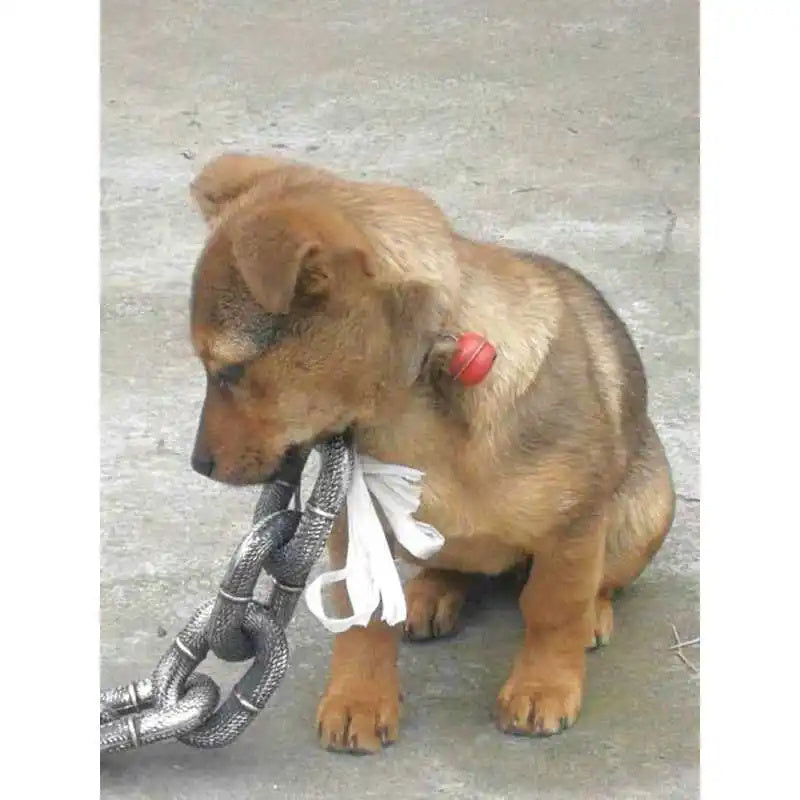 Simulation Iron Chain