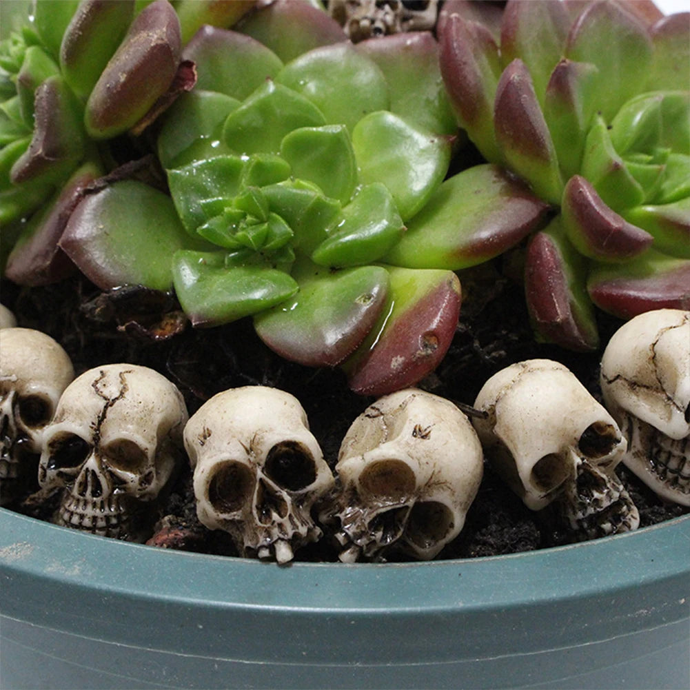20Pcs Mini Skull Heads