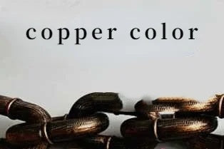 Simulation Iron Chain